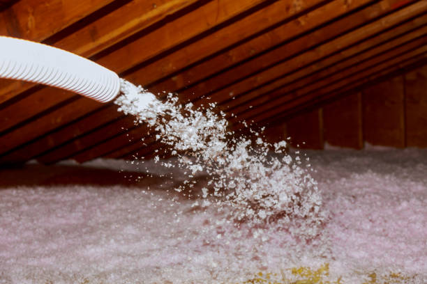 Best Energy Efficiency Solutions in Chatfield, MN