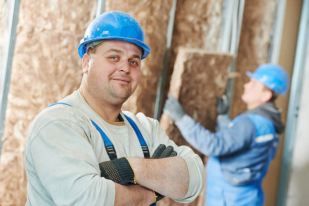 Best Commercial Insulation in Chatfield, MN